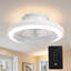 Ceiling Fan with LED Lights