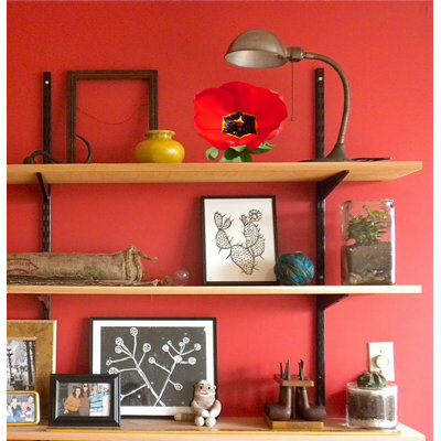 Poppy Plants & Flowers Wall Decal