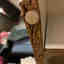 Customer photo 3 of 3