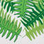 Schumacher x Cristina Buckley Canyon Ferns Wallpaper-62586204