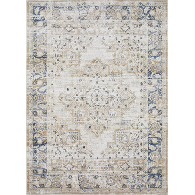 Aldonia Oriental Indoor Rug