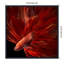 «Red Fire Betta Fish» par Antonyus Bunjamin (Abe), reproduction d'art sur toile encadrée-525803668