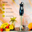 Krypton 2 Speed Hand Immersion Blender