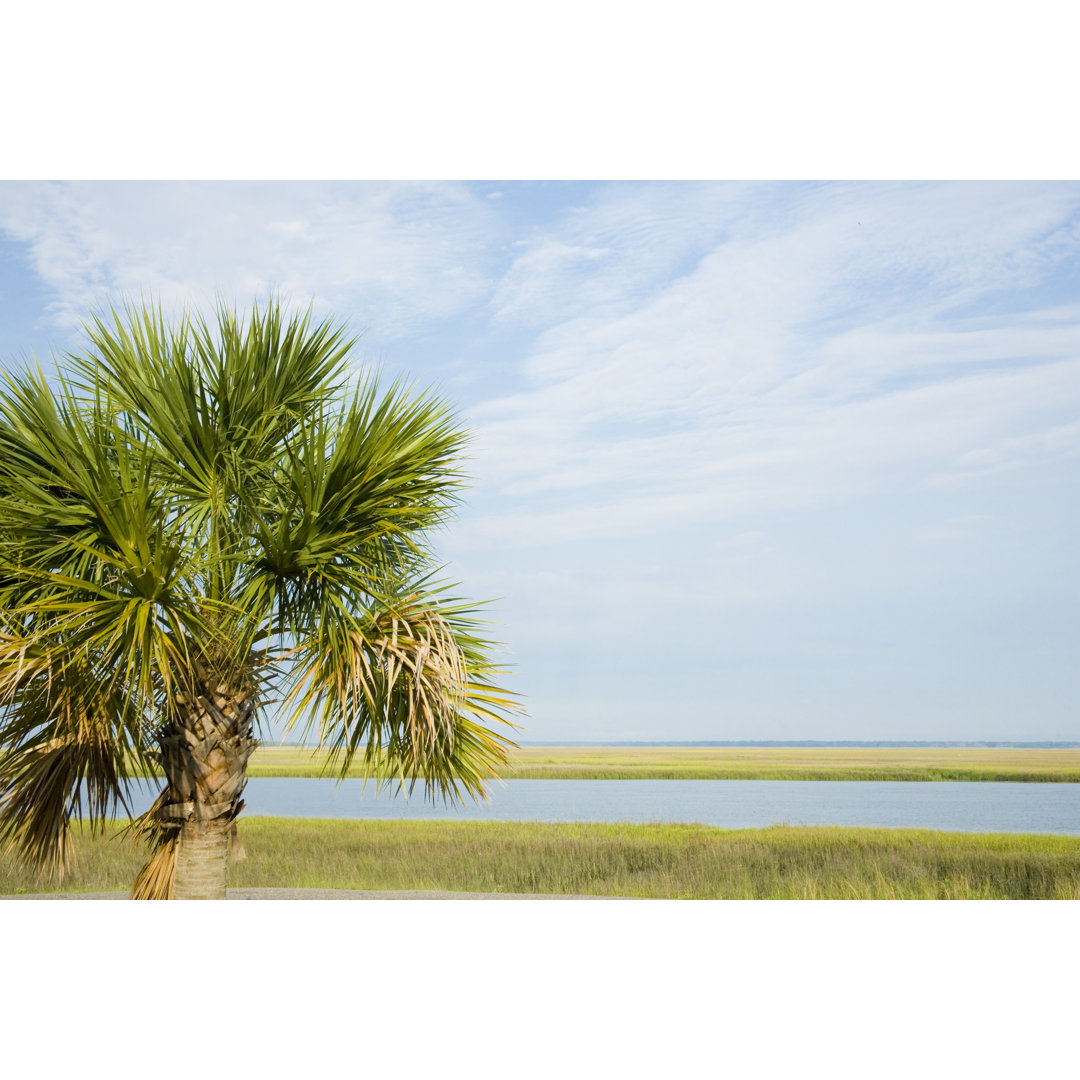 South Carolina von Alantobey - Kunstdrucke auf Segeltuch