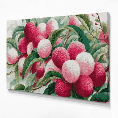 Fruit Lychee Gray Canvas Wall Art
