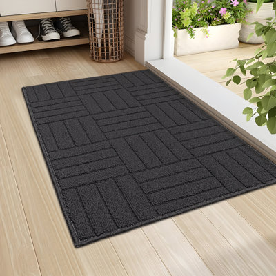 Stain Resistant Non-Slip Door Mat 