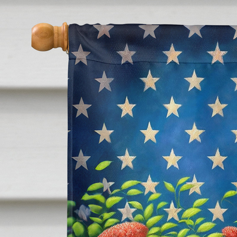 Drapeau «All American House», Étoile bleue / Labrador Retriever à rayures roug