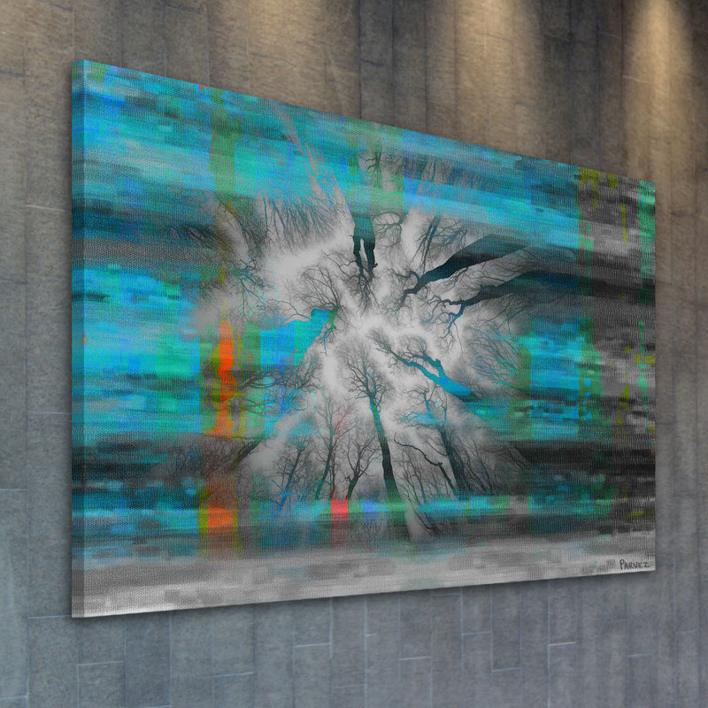 Parvez Taj - Wrapped Canvas Print, 76cm H x 114cm W x 3.81cm D