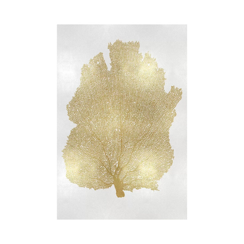 Sea Fan I by Melonie Miller - Print on Canvas, Wrapped Canvas, 66.04cm H x 45.72cm W x 3.81cm D