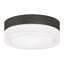 Cirque LED Outdoor Flush Mount-56359845