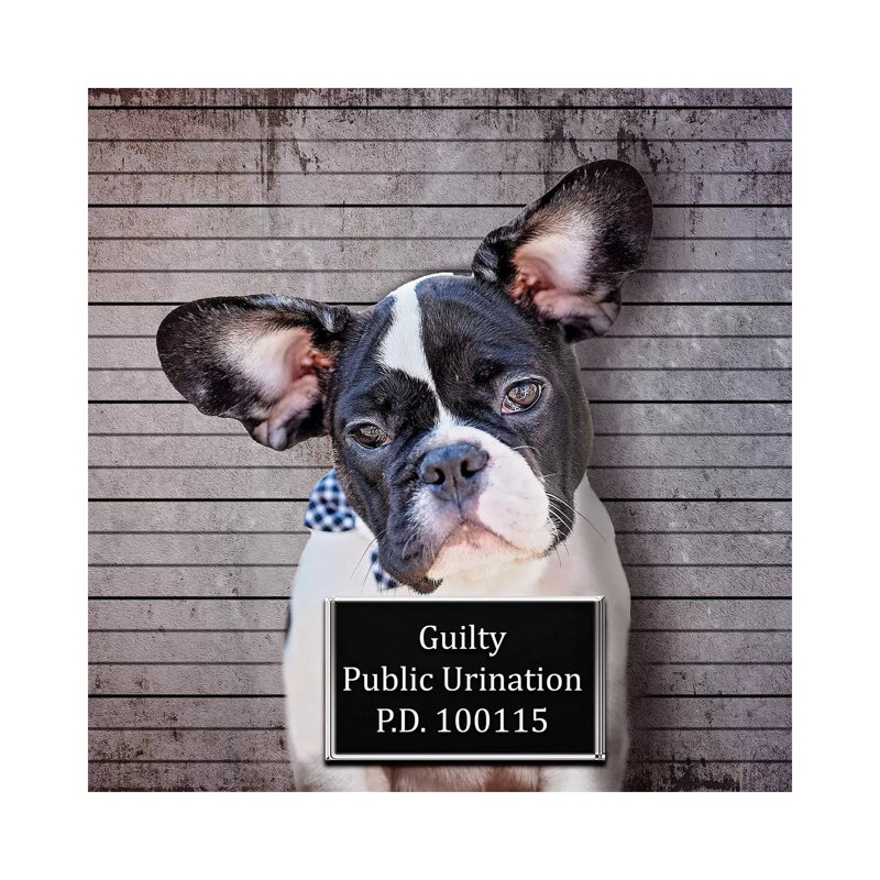Public Urination by Karen Burke - Wrapped Canvas Print, 66.04cm H x 66.04cm W x 1.91cm D