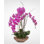 Real Touch Phalaenopsis Silk Orchid with Curly Willow and Succulents in Teak Wood Bowl