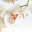 TIGE D'ORCHIDÉE PHALAENOPSIS 28 po-1381915826