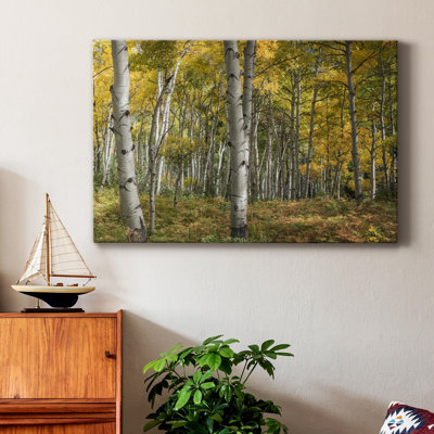 " Aspen Grove II "