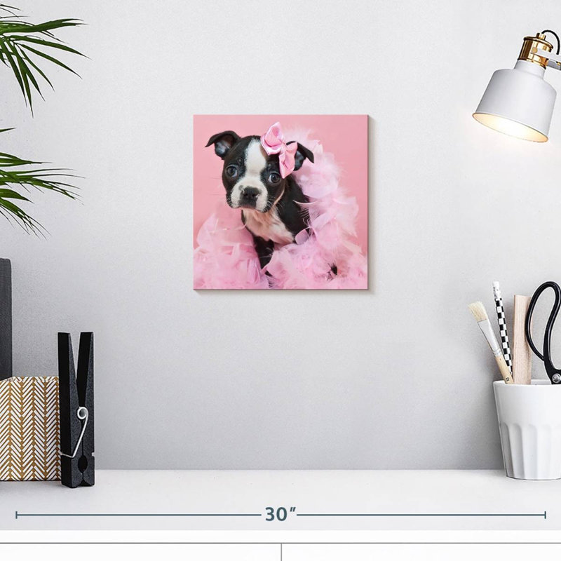 Crowle Sassy Boston Terrier, H 10 po x l 10 po