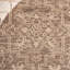 Kenya Brown / Beige Oriental Rug-1165911248