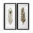 Soft Feather II - Natural History Print, Matted and Framed Under Acrylic Glass, Set of 2, Study and Living Room Wall Art