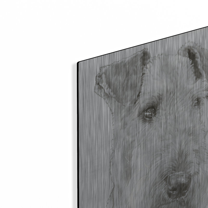 " Shaggy " by Barbara Keith, 24" H x 16" W
