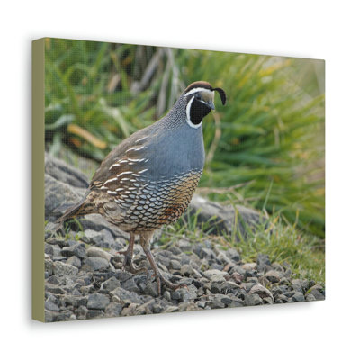 No Frame Print on Canvas