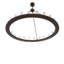 24 - Light Chandelier