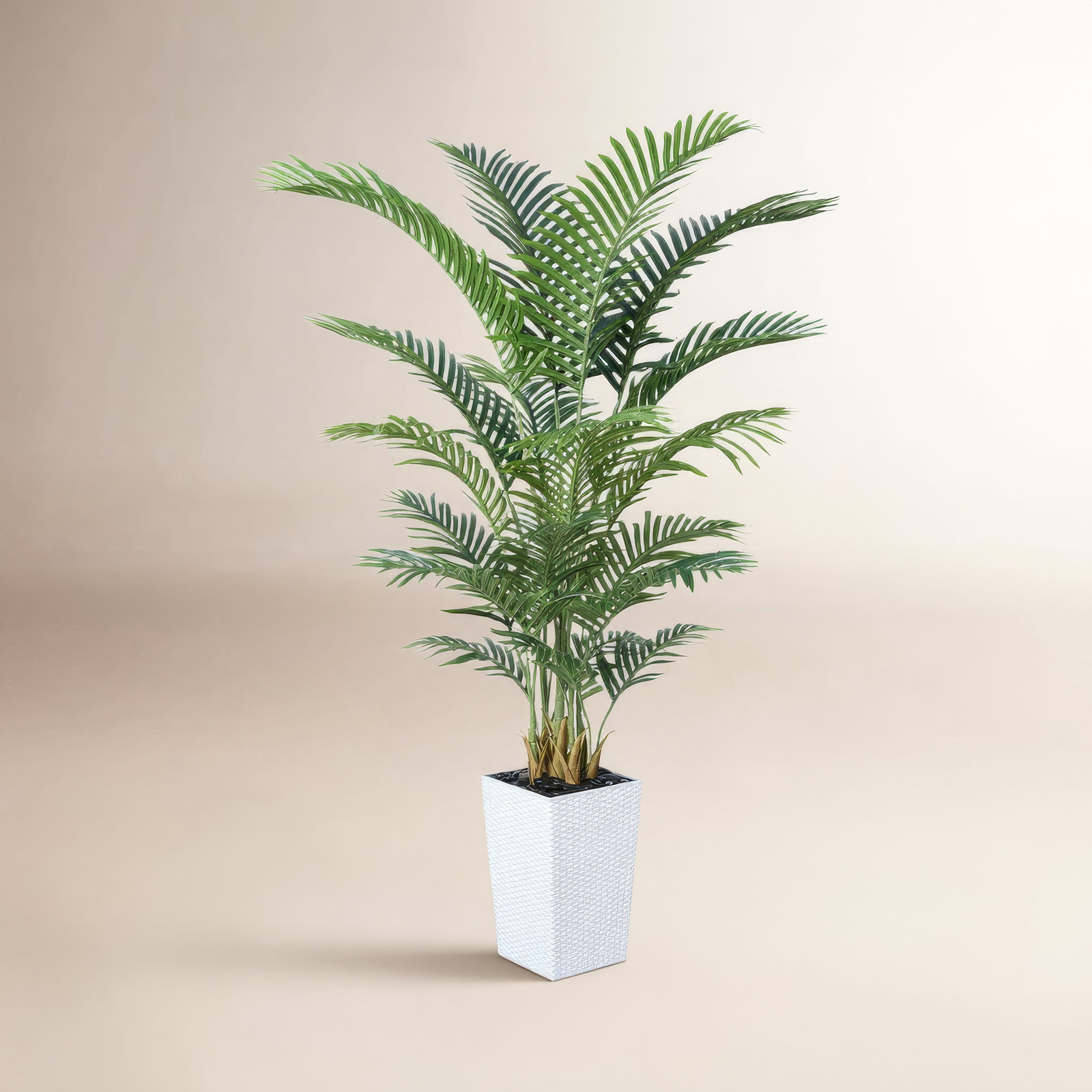 Aliza UV Resistant Artificial Palm Tree, Faux Palm Tree with Decorative Base for Indoor Outdoor, 72" H x 24" W x 24" D, White