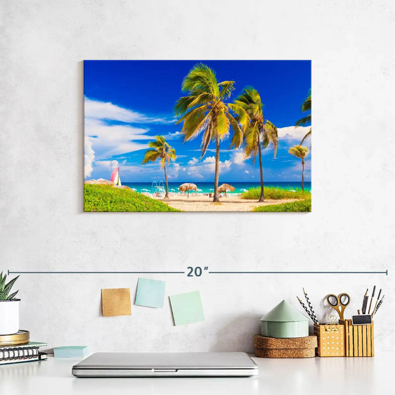 Varadero Ayzlyn, Cuba, H 8 po x l 12 po