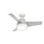 Ventilateur de plafond standard à 36 pales de 36 po à DEL avec télécommande et ensemble d'éclairage inclus Valda-49934501
