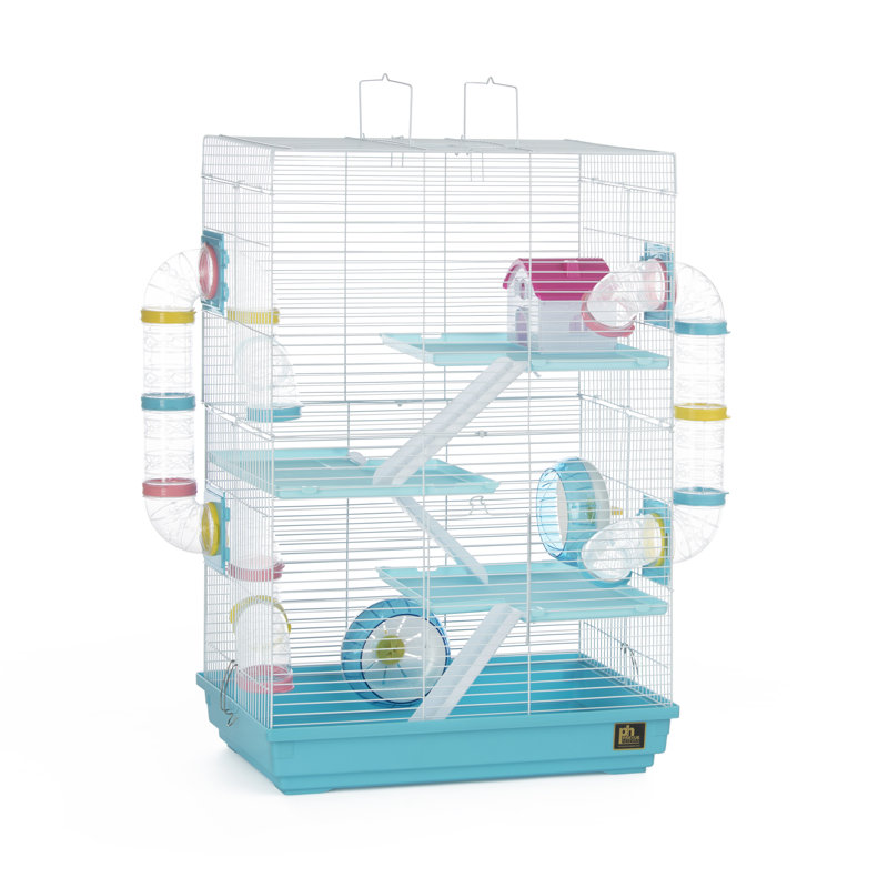 Cage à souris avec rampe Camargo, Bleu / blanc
