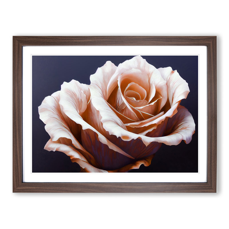 Elegant Rose Flower - Single Picture Frame Print, 34cm H x 46cm W x 2cm D, Walnut