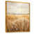 Gold Floater Framed