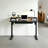 Larreon Electric Height Adjustable Standing Desk-1137388996-1137388994
