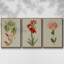 Botanical Array IV - 3 pièces d'une seule photo sur toile-97759172-97759173