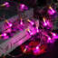 Manon Holiday Lighting