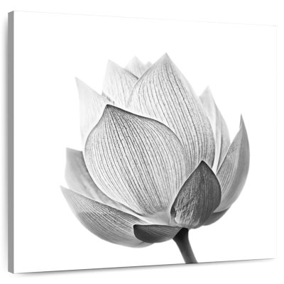 Harnek Budding Lotus