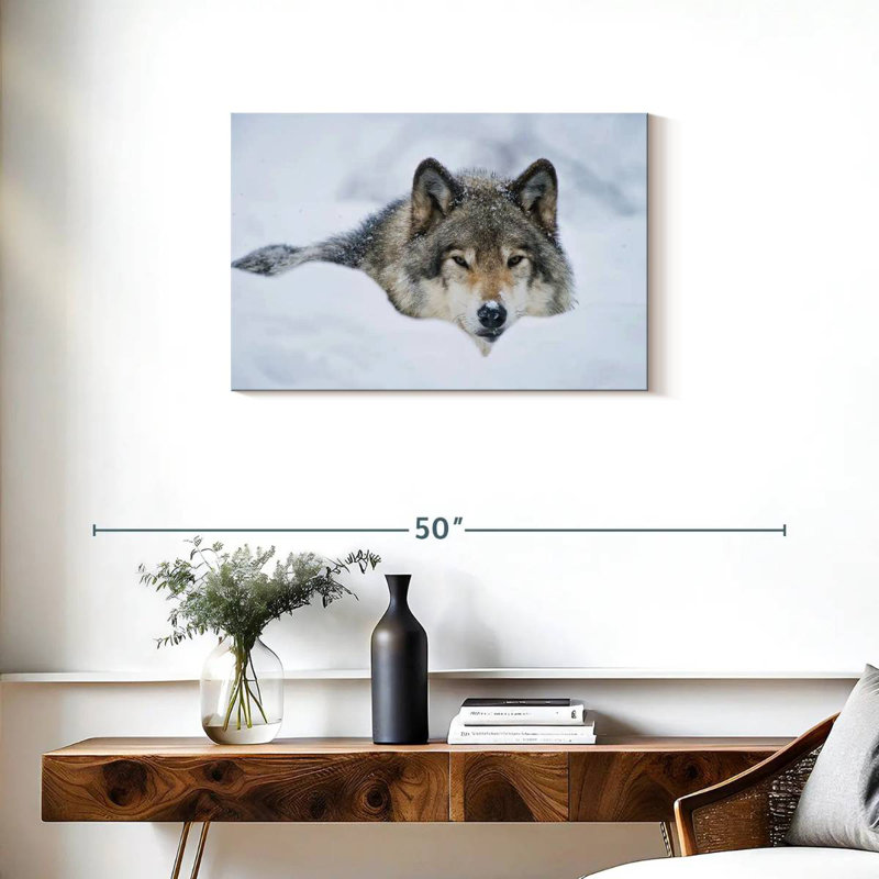 Loup Brampt dans la neige
