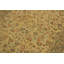 Tapis oriental brun et beige en laine noué à la main 4 pi 3 po x 5 pi 9 po Oriental