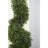 35'' Boxwood Topiary in Faux Concrete Planter