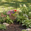 Crochet de berger de jardin en métal noir Centurion 88,58 po