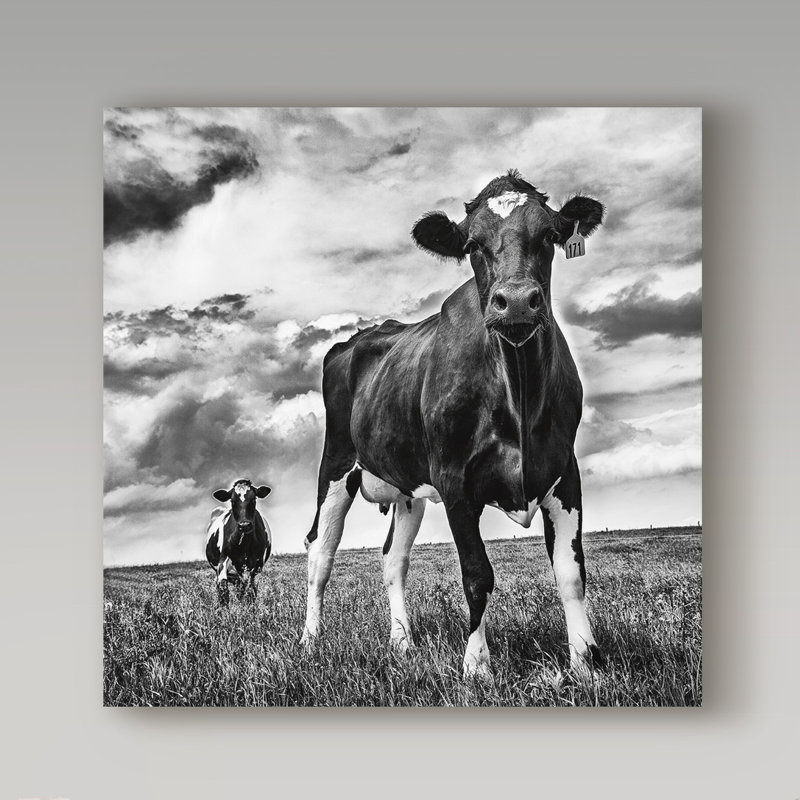 « waiting bw crop », reproduction de photo sur toile tendue, H 14 po x l 14 po x P 2 po
