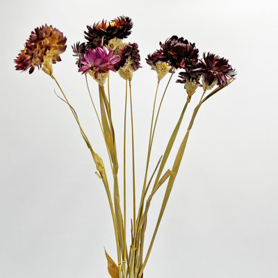 Modern Art Preserved Daisy Stems
