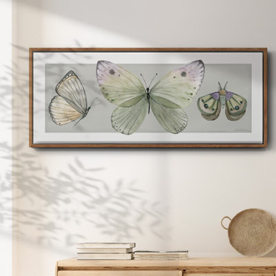 Pretty Insects II- Framed Canvas