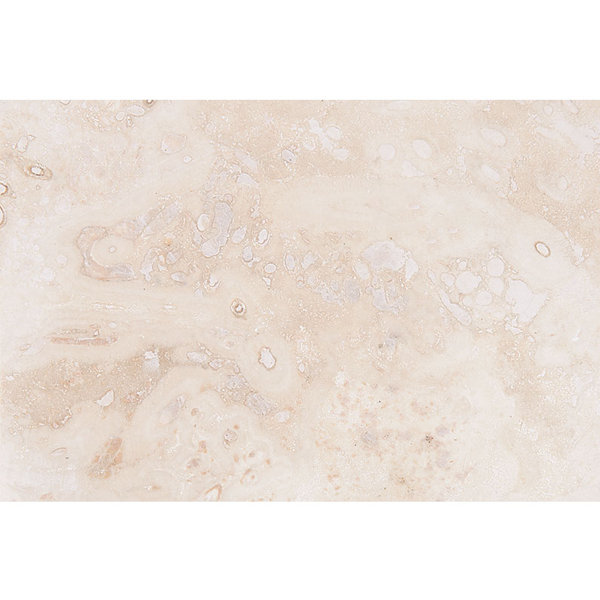 Ivory 16" x 24" Travertine Wall & Floor Tile
