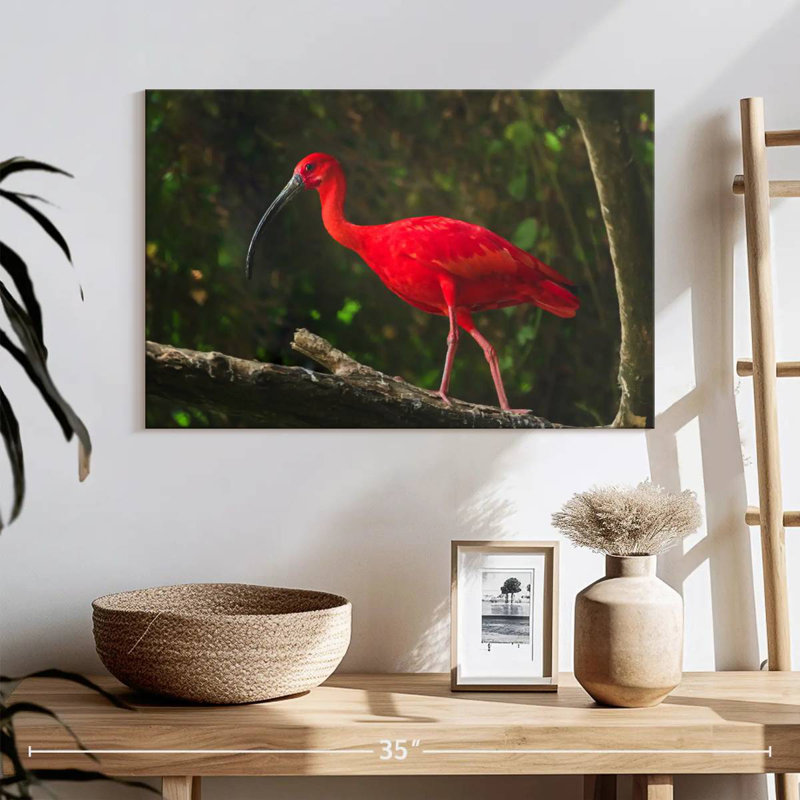 Oiseau rouge Brampt, H 16 po x l 24 po