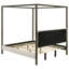 Canopy Bed