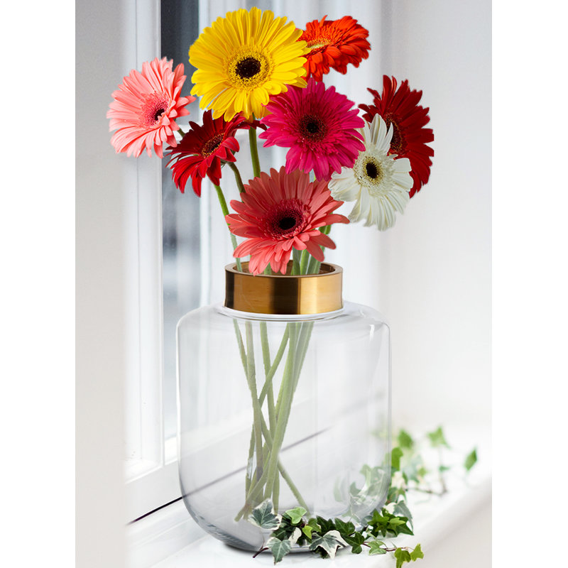 Vase de table en verre transparent Serenity, H 12 po x l 9 po x P 9 po