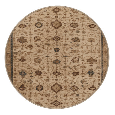 Machine Washable Persian Brown Area Rug
