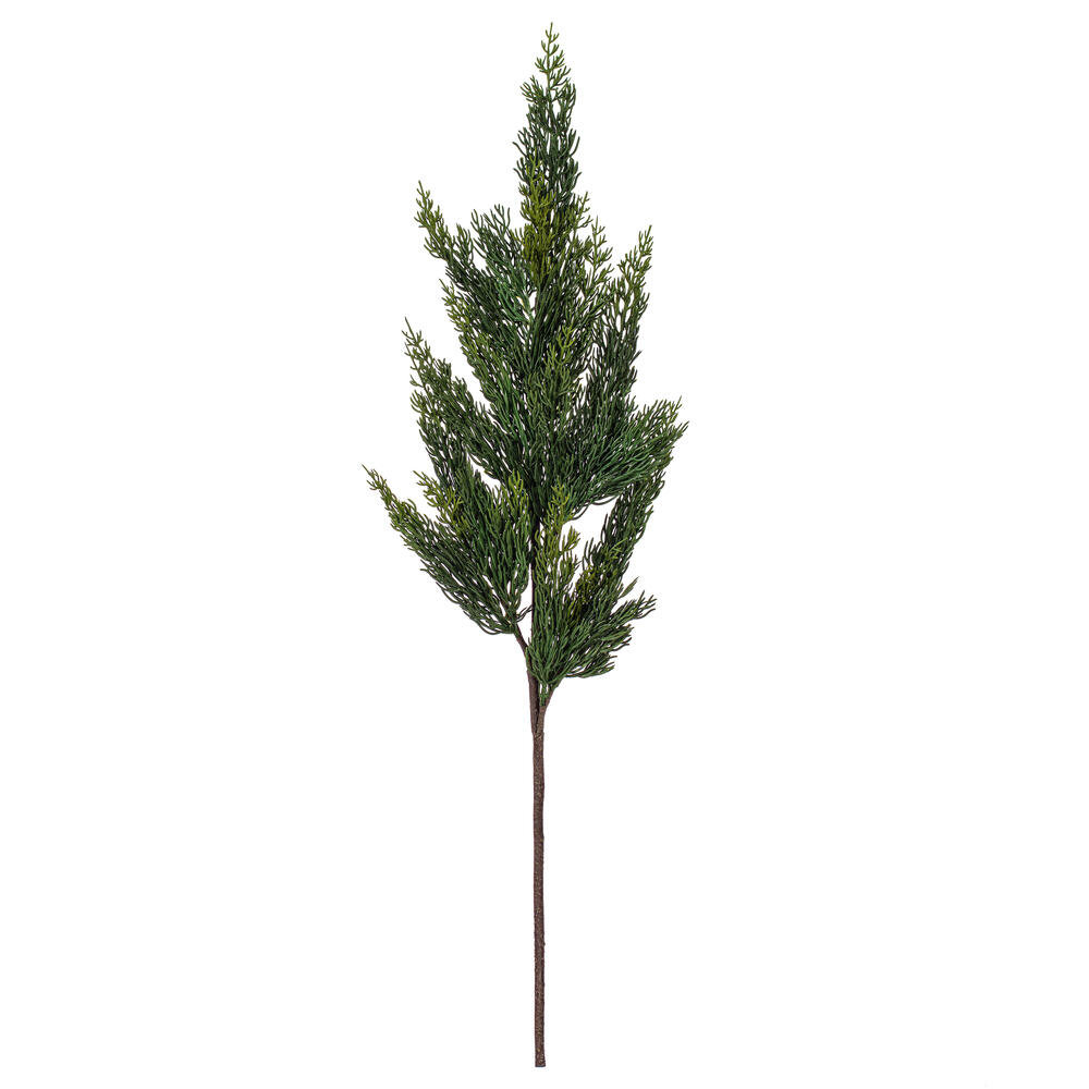 Cedar Fern Floral Stems