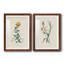 Cadre traditionnel traditionnel Premium Botanical III - prêt à être suspendu-951944680-951944679