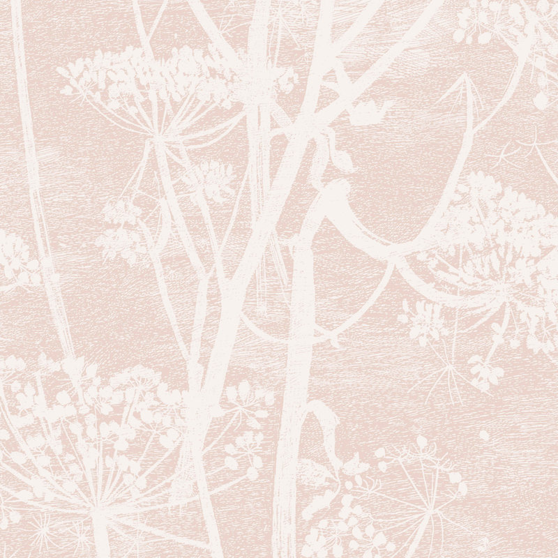 Cow Parsley Floral Wallpaper Roll, Plaster Pink