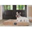 Lit matelassé pour animaux Serta-31319157-31319159